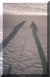 ch_bernerob_doldenhorn_05b_shadow_on_snow.jpg (59101 bytes)